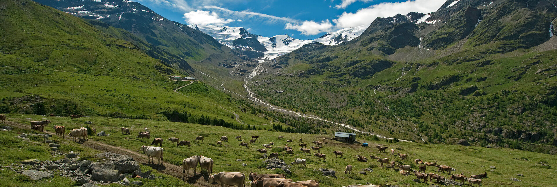 I Tipici di Valtellina - contatti
