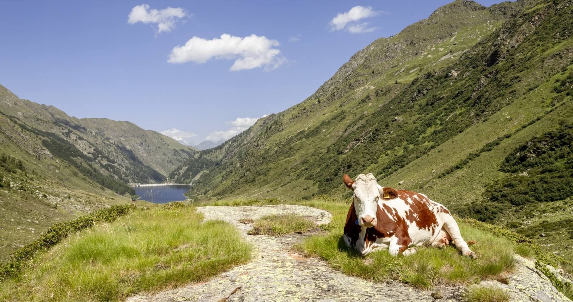 prodotti tipici alpini e enogastronomia di montagna: cibi di Valtellina e provincia di Sondrio